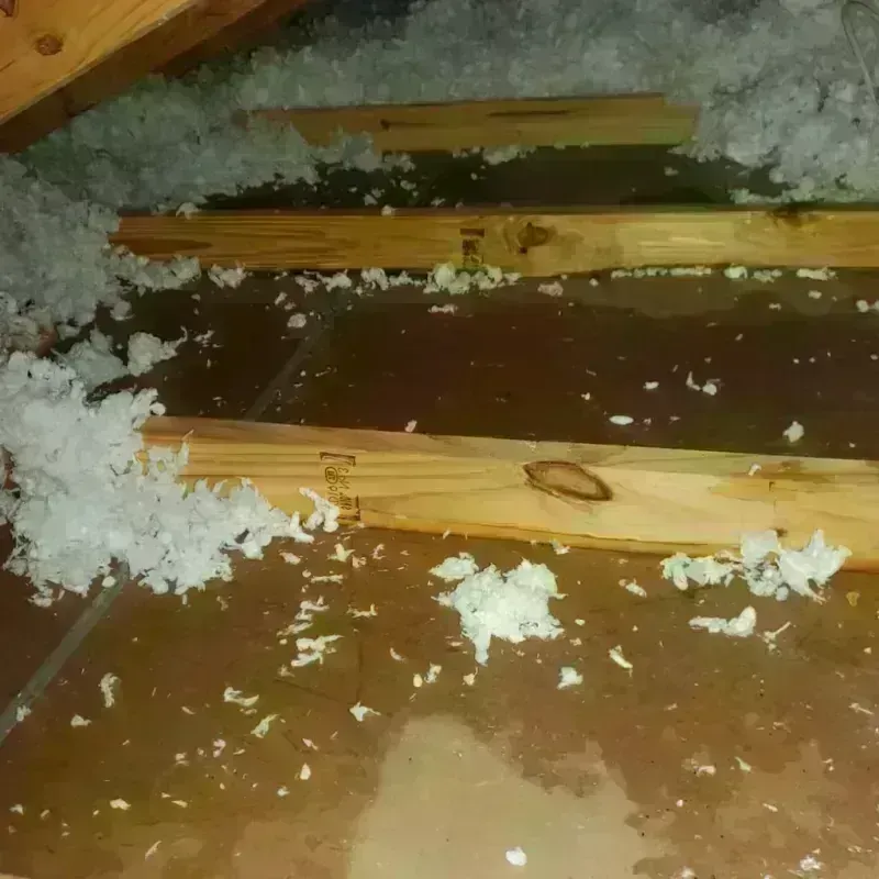 Attic Water Damage in Cedar Ridge, CA